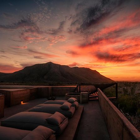 Paradero Todos Santos - Exclusive Experiences Included Exteriér fotografie