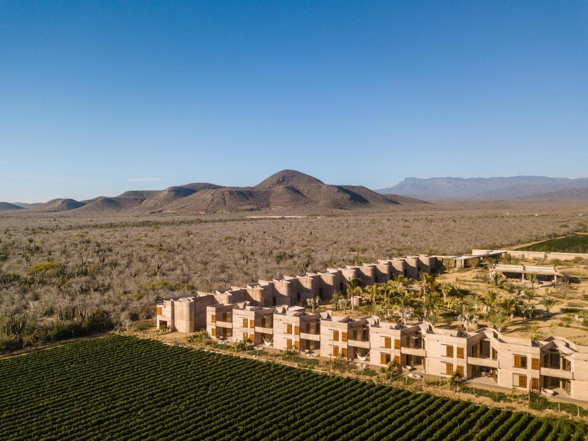 Paradero Todos Santos - Exclusive Experiences Included Exteriér fotografie