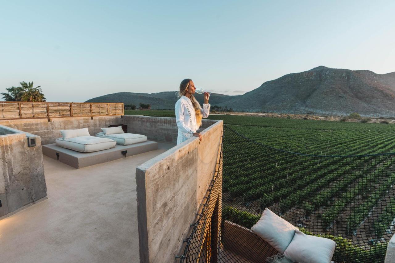 Paradero Todos Santos - Exclusive Experiences Included Exteriér fotografie